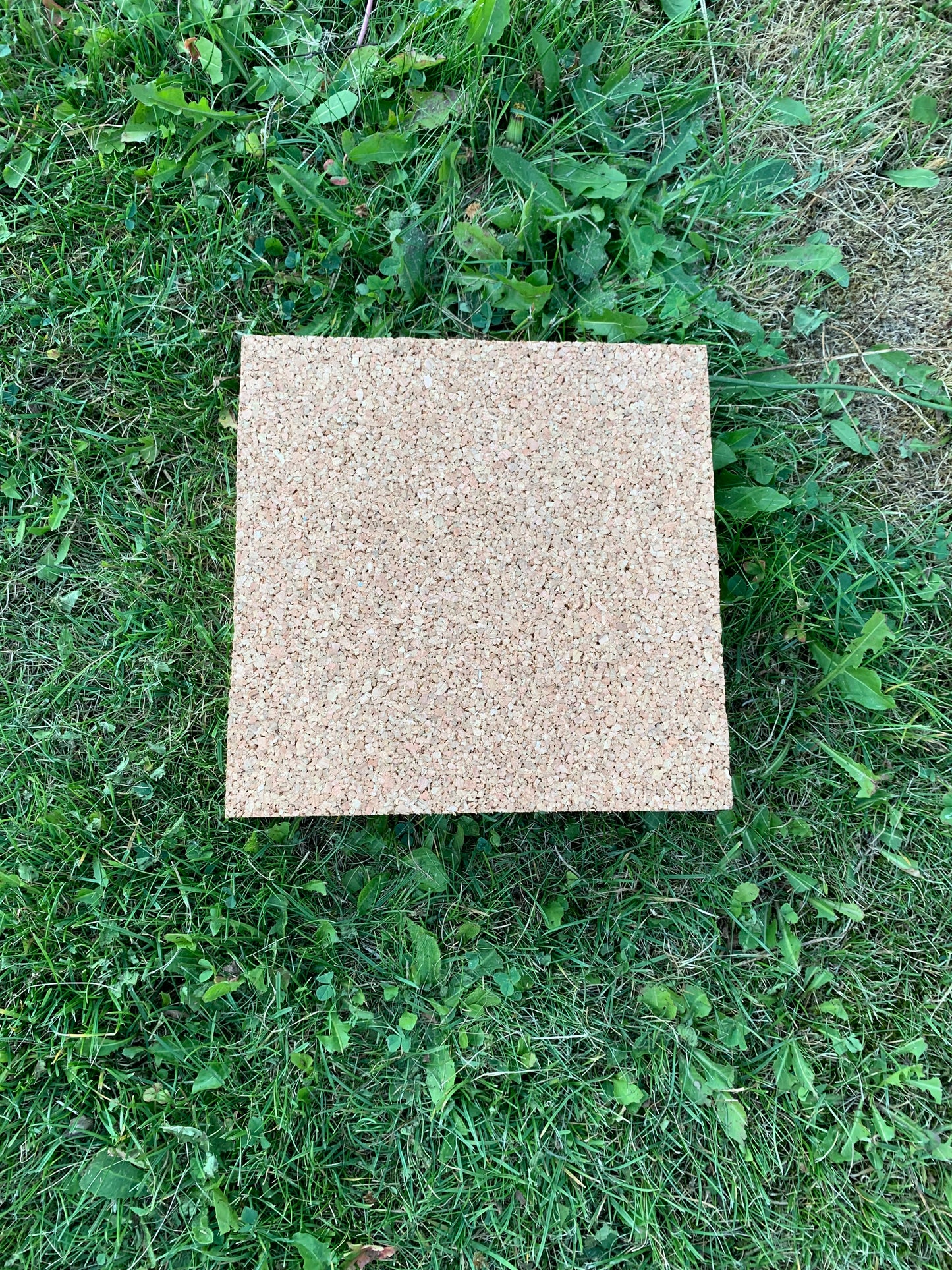 Obedience target 20 x 20