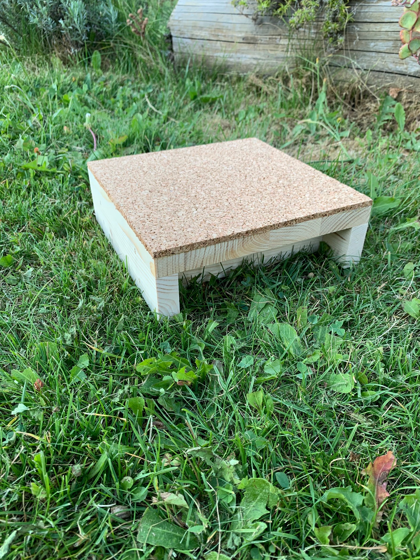 Obedience target 20 x 20