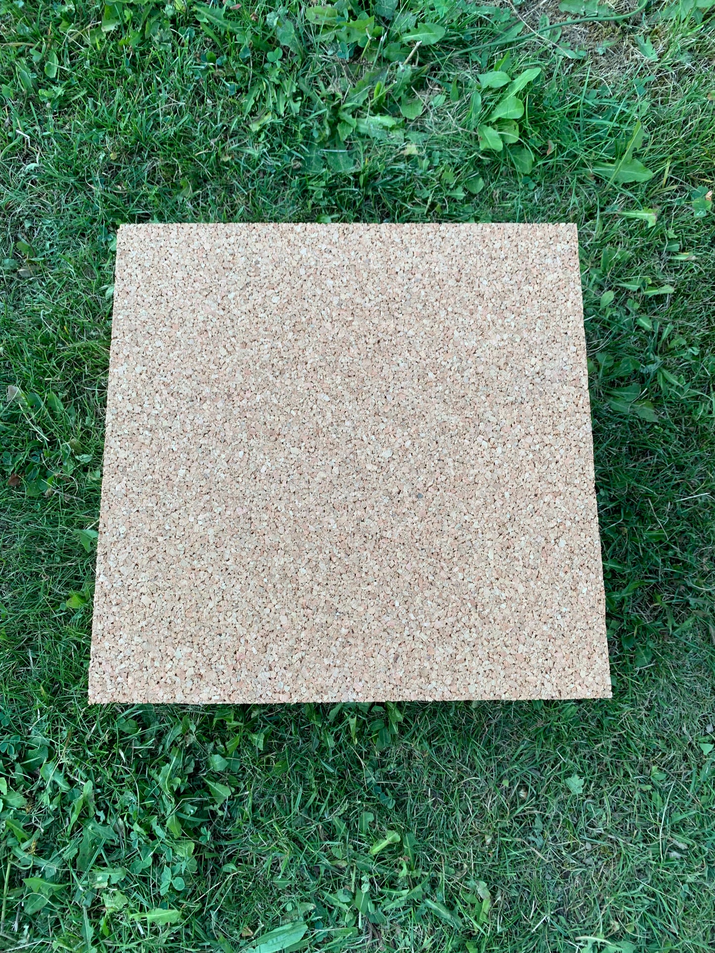 Obedience target 30 x 30