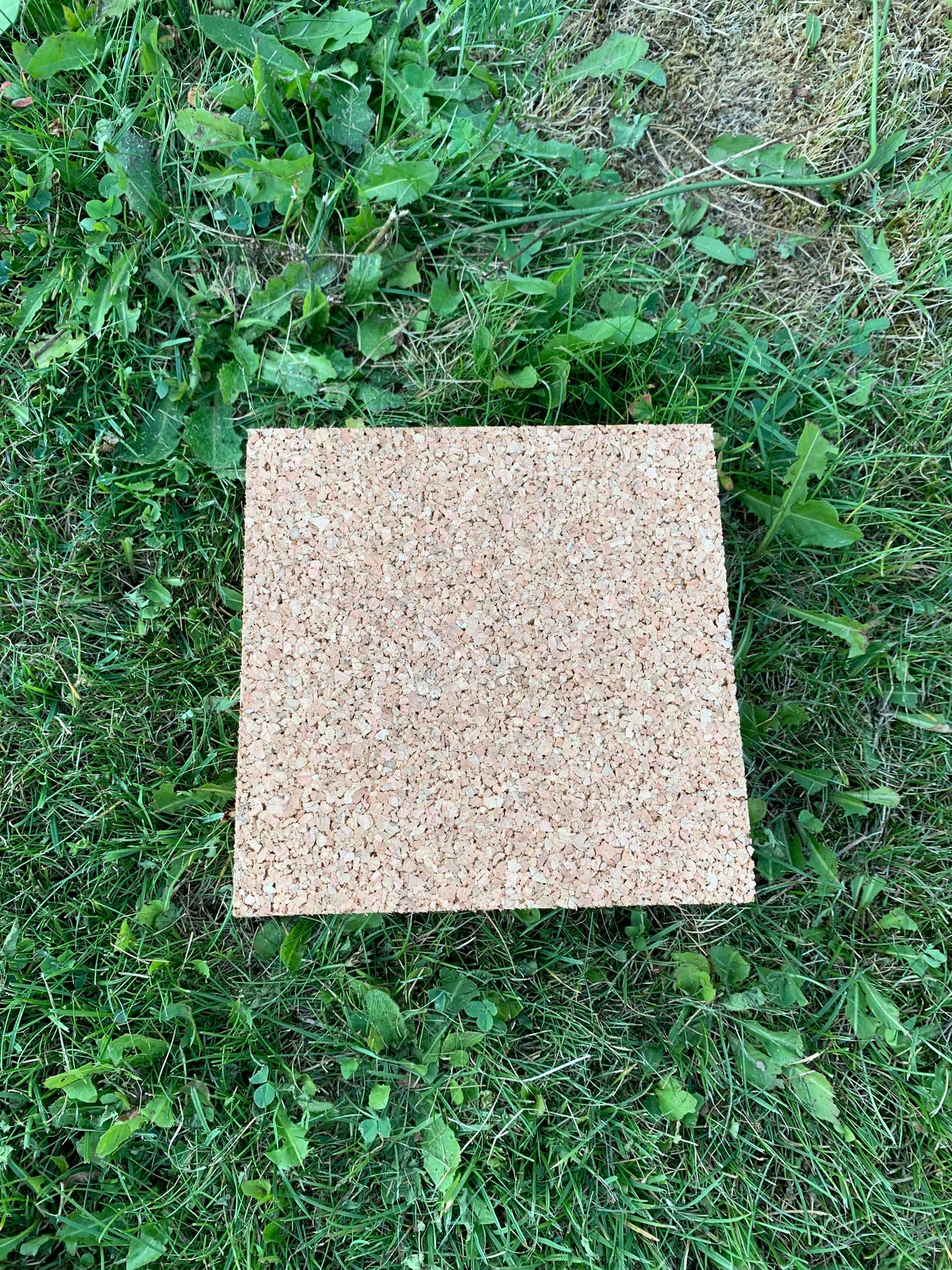 Obedience Target 15 x 15